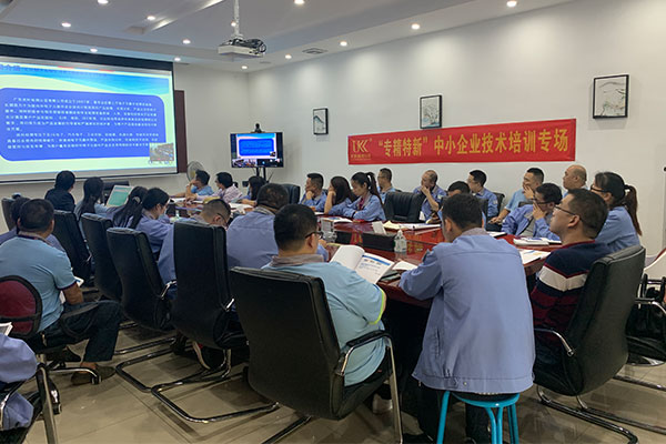 助力“专精特新”企业，太阳GG走进嘉龙海杰开展专场手艺培训